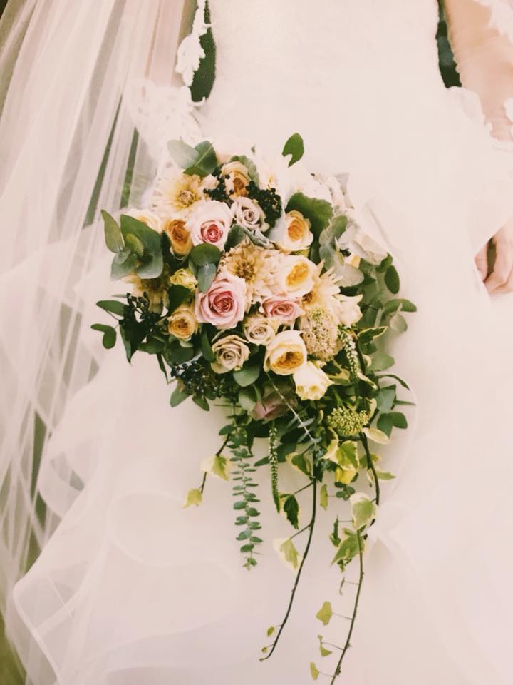 Wild Stems Florist In Gisbourne Grab A Deal