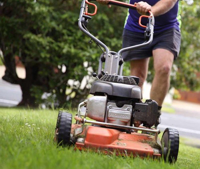 Rotorua Lawnmower