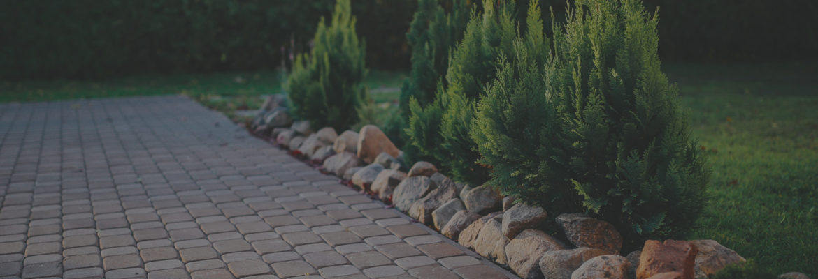 Team RPM – Renee’s Property Maintenance – Hastings, Hawke’s Bay
